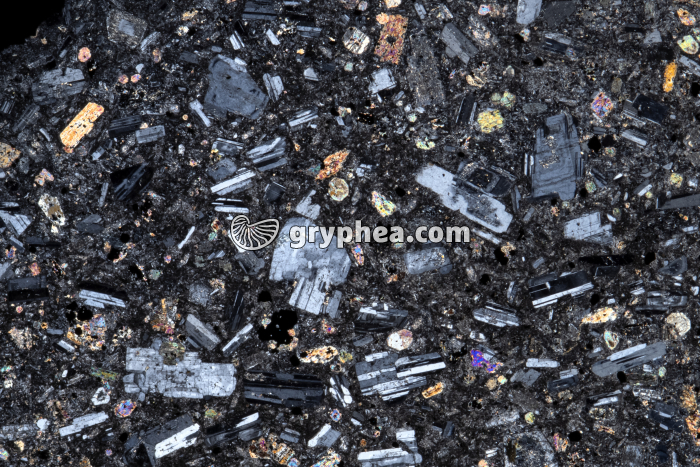 Andésite LPA x3 - gryphea.org